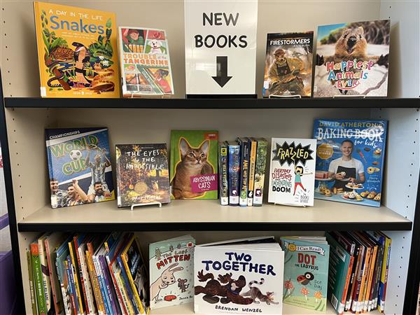 New book section of the library 2025